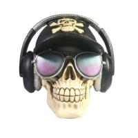 Копилка Веселый Роджер (черный) 718143/SK196