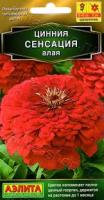 Цинния Сенсация бронзовая 12шт