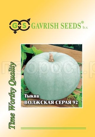 Тыква крупноплодная Волжская серая 92 100 г