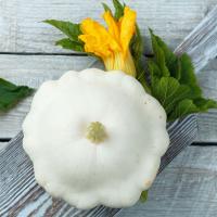 Сем Алт Патиссон Белые 13 1г  ч/б