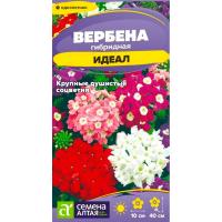 Вербена Идеал гибридная 0,05г