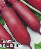 Свекла Цилиндра 25 г