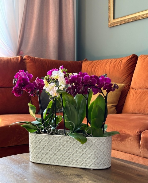 Кашпо Vintage 25*13; h12см крем овал 071610