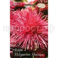 С24509 (1) С24509 (1)