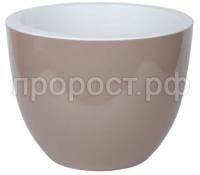 орион фраппе