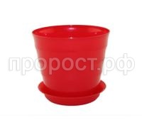 лаура с под (5)