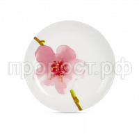 6b9c7cac660d912ae8c54b5722f222a8