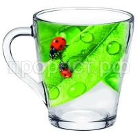 Живая природа Зеленый лист Живая природа Зеленый лист