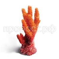 5bebc9e662825914568485