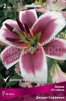 Лилия ОТ-Гибрид Джудит Саффинья (14-16) 2шт 736206