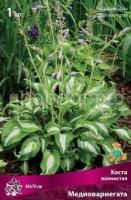 Хоста волнистая Медиовариегата Хоста волнистая Медиовариегата