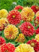 Без названия (1) Без названия (1)