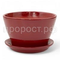 беллита вишн