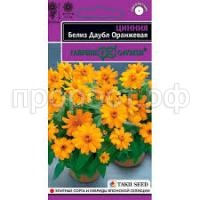 Без названия (3) Без названия (3)