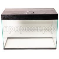 З142218_1 З142218_1