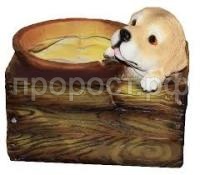 щенок в ящике