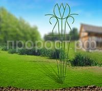 нарцисс нарцисс