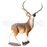 К131724_1 К131724_1