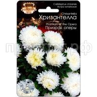 Астра Хризантелла Призрак оперы 30шт Биотехника