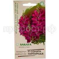 Без названия Без названия