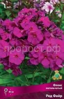 Флокс метельчатый Ред Файр