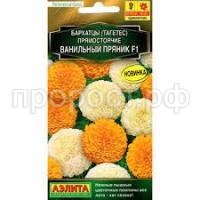 Без названия (12) Без названия (12)