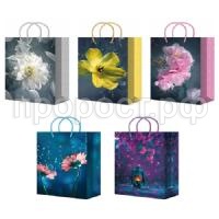 ПБР55729 ПБР55729