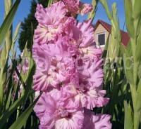 7379f068_c9ff_11f0_b2c5_ac1f6b73e423_b1e025ef_e18e_11f0_b2cb_ac1f6b73e423.resize2 7379f068_c9ff_11f0_b2c5_ac1f6b73e423_b1e025ef_e18e_11f0_b2cb_ac1f6b73e423.resize2